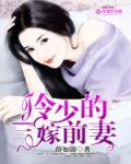 冷少的三嫁前妻